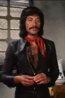 The Stones of Venice