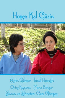 Hoşça Kal Güzin poster