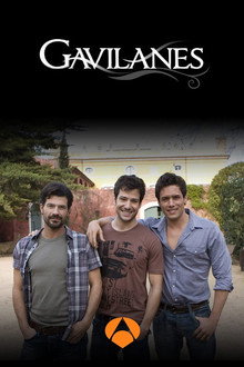 Gavilanes poster
