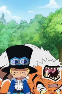 The Battle against the Big Tiger! Who is Going to be Captain?!
