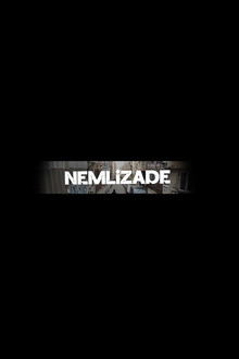 Nemlizade poster