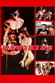 Code Name: Raw-Hide poster