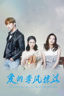 The Monsoon of Love Passes by poster