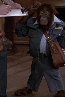 Woody for Hire meets Norman of the Apes