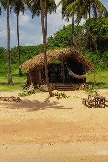Episode 33