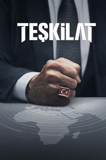 The Shadow Team poster