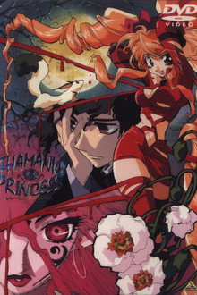 Shamanic Princess poster