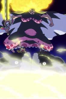 Finally, They Clash! The Emperor of the Sea vs. the Straw Hats!