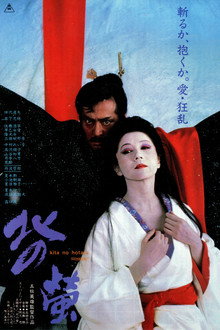 Fireflies in the North poster