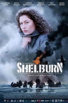 The Shelburn Network poster