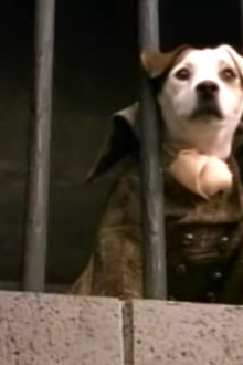 A Tale of Two Sitters