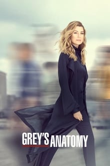 Grey’s Anatomy (TV Series 2005)