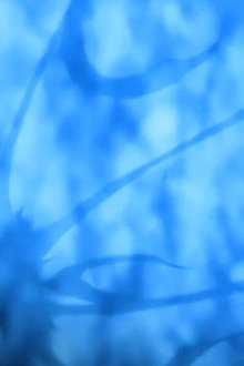 The Medical Ninja's Student