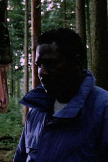 In Dino Veritas