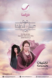 Napoleon And Al Mahrousa poster