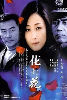 花非花 poster