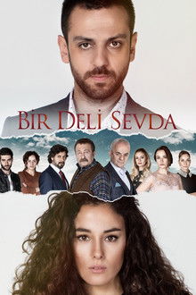 Bir Deli Sevda poster