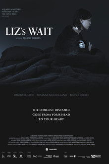 Liz's Wait poster