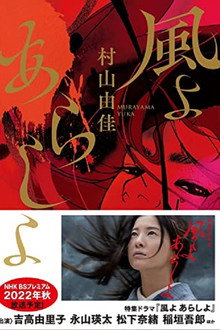 The Wind, The Storm poster