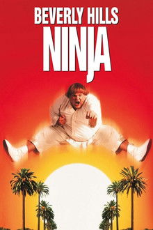 Beverly Hills Ninja poster