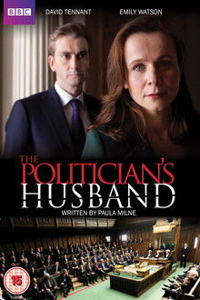 The Politician's Husband poster