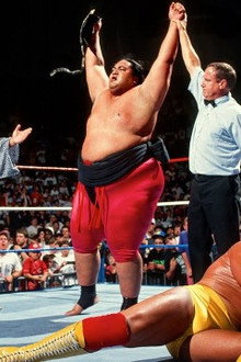 Yokozuna