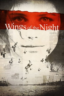 Wings of the Night poster