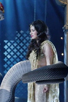 Shivanya Confronts Sesha