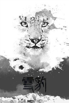 雪豹 poster
