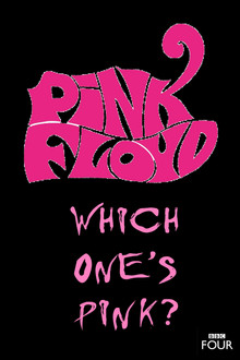 The Pink Floyd Story: Which One's Pink? poster