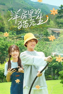 Mr. Cat in the Villa poster