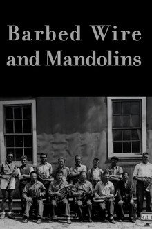 Barbed Wire and Mandolins poster