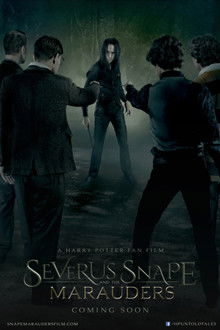 Severus Snape and the Marauders poster
