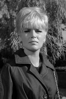 The Case of the Fugitive Fraulein