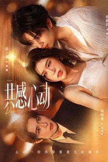 共感心动 poster