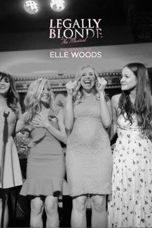 Legally Blonde – The Musical: The Search for Elle Woods poster