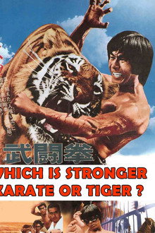 Which Is Stronger, Karate or the Tiger? poster