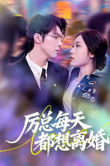 厉总每天都想离婚 poster