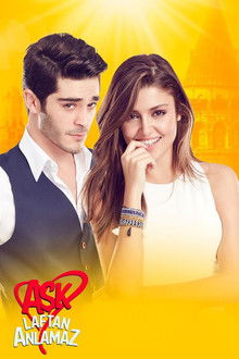 Love Doesn't Understand Words poster