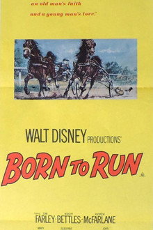 Born to Run poster