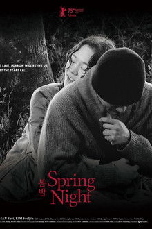 Spring Night poster