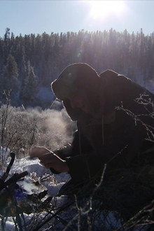 Siberia (1)