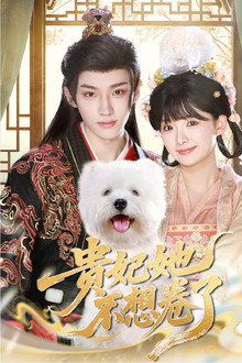 贵妃她不想卷了 poster