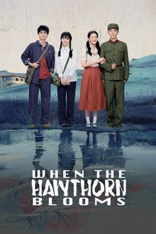 When the Hawthorn Blooms poster