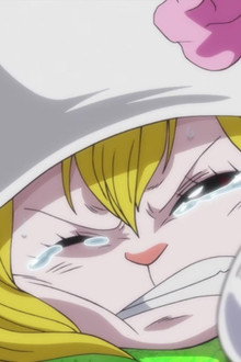 I'll Be Back! Luffy, Deadly Departure