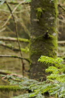 Coeur Glacé Battant poster