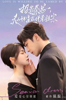 报告秦总, 夫人她是古代老祖宗 poster