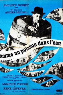 Comme un poisson dans l'eau poster