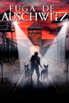 Imagem Fuga de Auschwitz