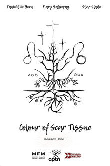 Colour of Scar Tissue poster